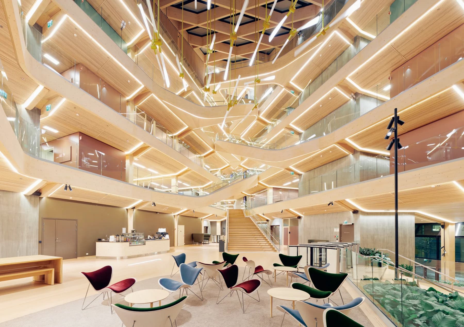 Timber atrium built with hokon engineered wood